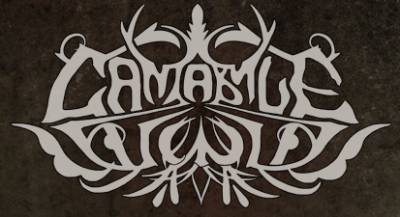 logo Cantabile Wind logo Cantabile Wind